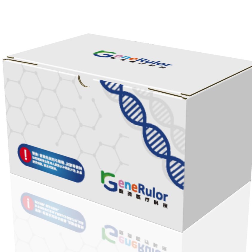   WGA全基因扩增试剂盒、phi29 DNA聚合酶