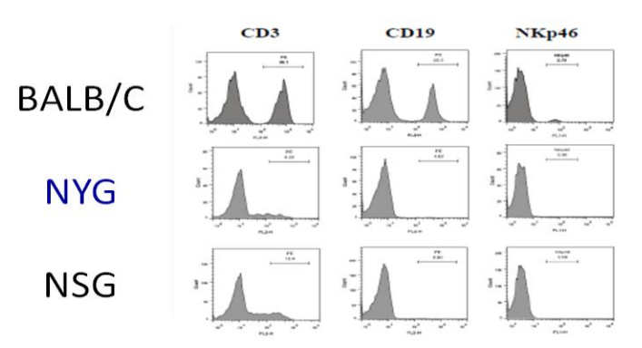 免疫缺陷鼠的发展史