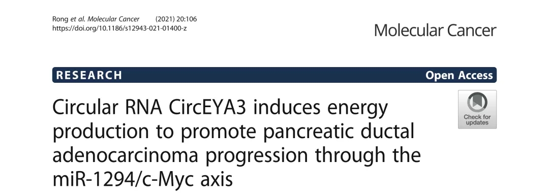 Mol Cancer丨CircEYA3通过miR-1294/c-Myc轴诱导能量产生从而促进PDAC进展