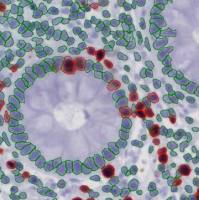 单细胞定量技术