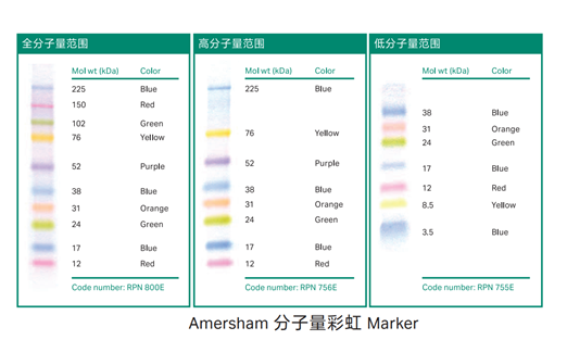 明星畅销单品-分子量marker标志物系列