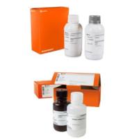 明星畅销单品- ECL发光液系列