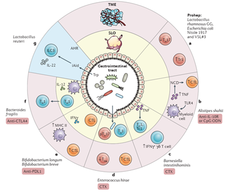 准备好免费领取万元无菌鼠了吗？！