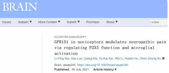 《客户文章》浙江大学徐贞仲团队在神经病理性疼痛研究领域取得进展