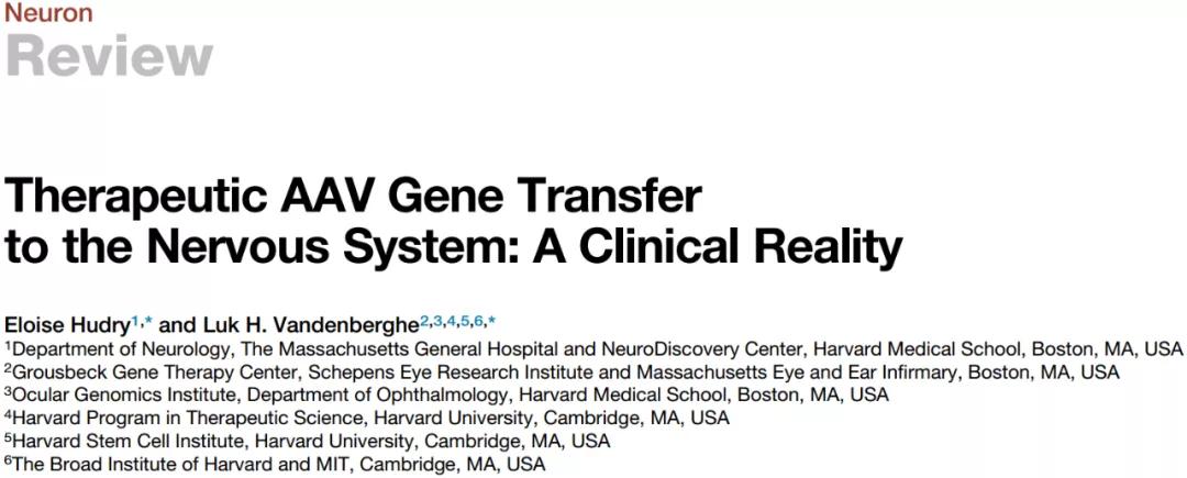 <知识窗>Neuron综述｜神经系统治疗性AAV基因传递的临床现状