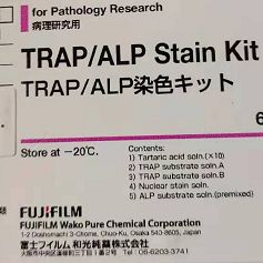 TRAP/ALP染色试剂盒，TRAP/ALP Stain Kit