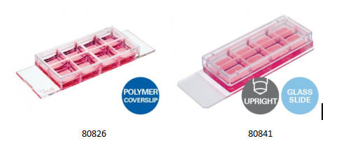 开学季大优惠，ibidi μ-Slide 8孔腔室载玻片（80826、80841）促销活动