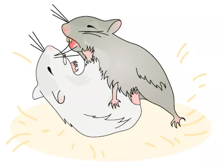 文献解读 ︱抑郁症的影响因素及研究模型