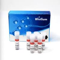 SYNAPTOGREENTM C3 70023