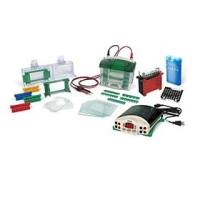 1658029 BioRad伯乐 小型垂直槽及转印模块 现货报价