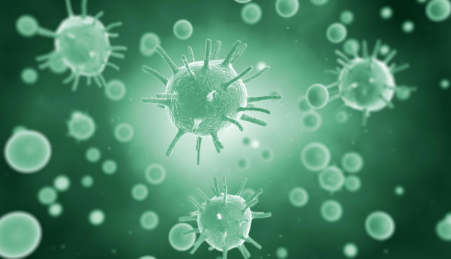 微生物的三个主要特征