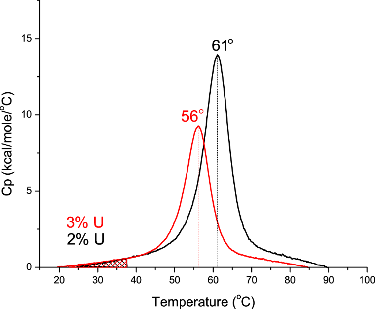 【热点应用】揭秘蛋白质的热稳定性！