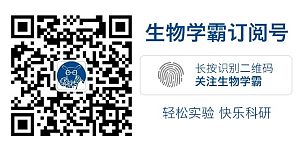 丁香实验推荐阅读