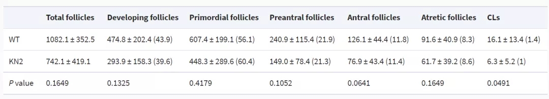 Nos1基因敲除小鼠