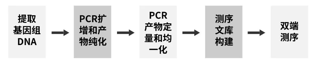 新闻图片4