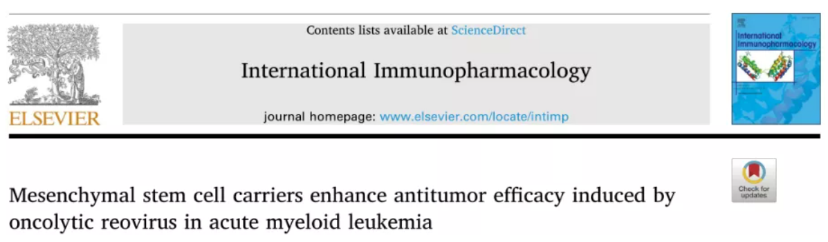 文献速递│荷载溶瘤病毒干细胞在急性髓系白血病中的应用研究