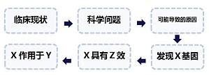 丁香实验推荐阅读