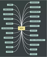 丁香实验推荐阅读