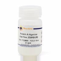 Protein A Agarose (Fast Flow, 抗体纯化用)