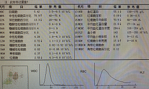 丁香实验推荐阅读