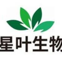 小鼠胃癌MFC原位肿瘤药效评价
