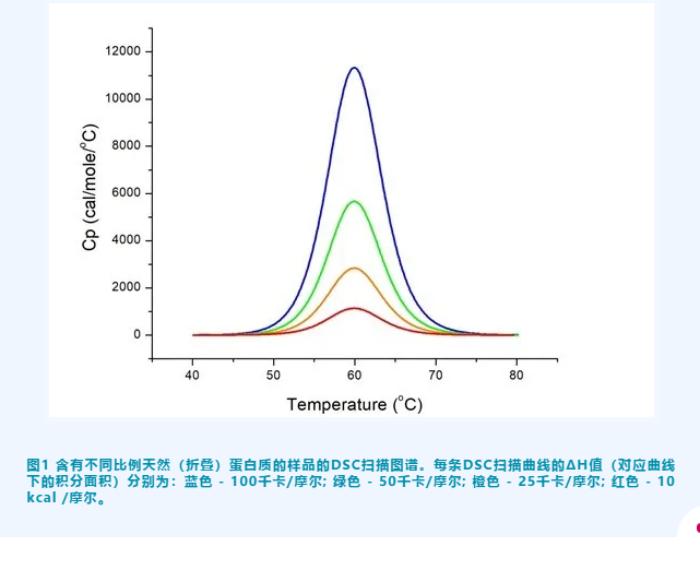 【热点应用】揭秘蛋白质的热稳定性！