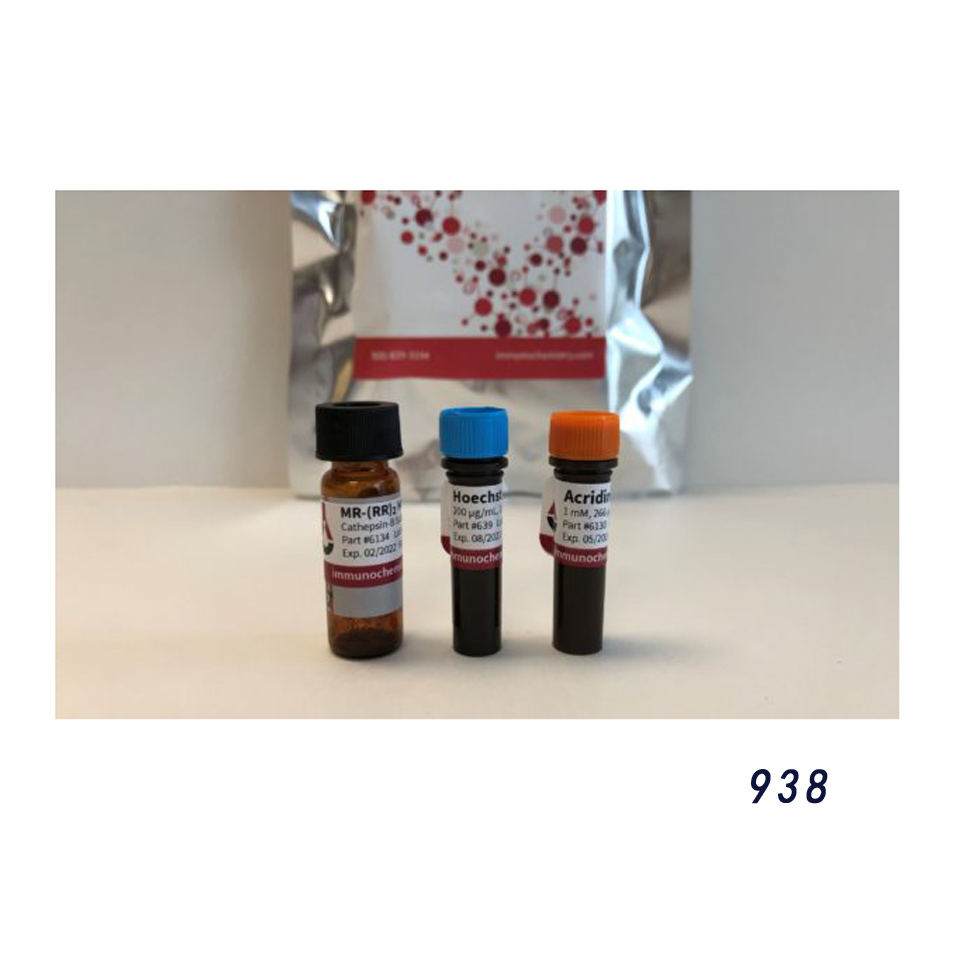 ImmunoChemistry Technologies（I