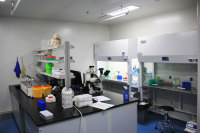 长沙细胞实验室