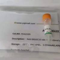 xCas9 3.7质粒载体