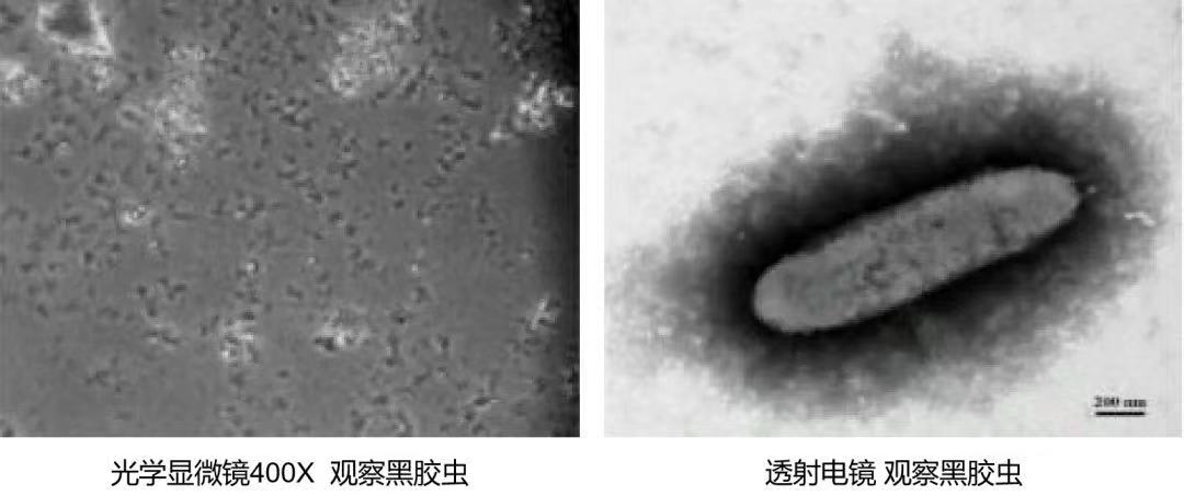 新闻图片4