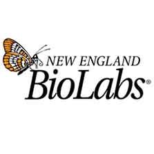 NEB® 5-alpha F'Iq Competent E. coli (High Efficiency)