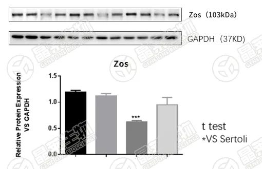 5.15孔膜.jpg 新闻图片3