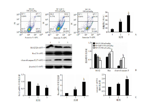 大鼠水通道蛋白0(AQP-0)elisa检测试剂盒洗涤方法