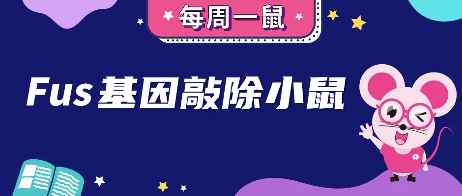 Fus基因敲除小鼠 