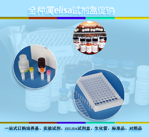 (IL-6)ELISA,豚鼠白介素6试剂盒,