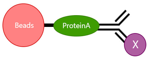 你还不能区分蛋白互作的几种方法吗？