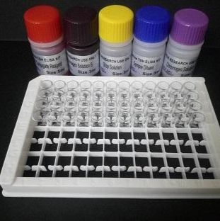 人纤调蛋白(FMOD)Elisa试剂盒