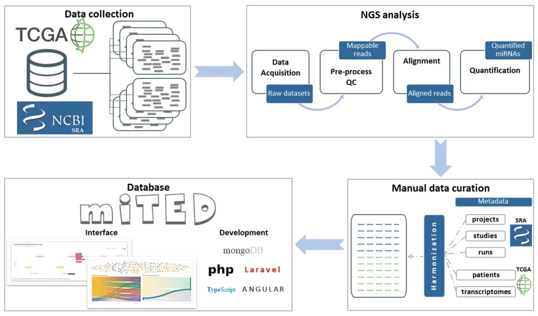 miRNA研究进展盘点（20210909）