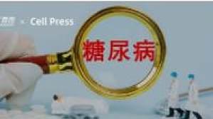 丁香实验推荐阅读