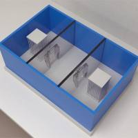 社交互动(自我捋毛,筑巢、少年玩耍,实物埋藏等)