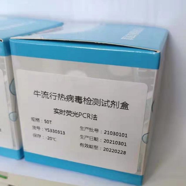 百日咳波氏杆菌染料法荧光定量PCR试剂盒
