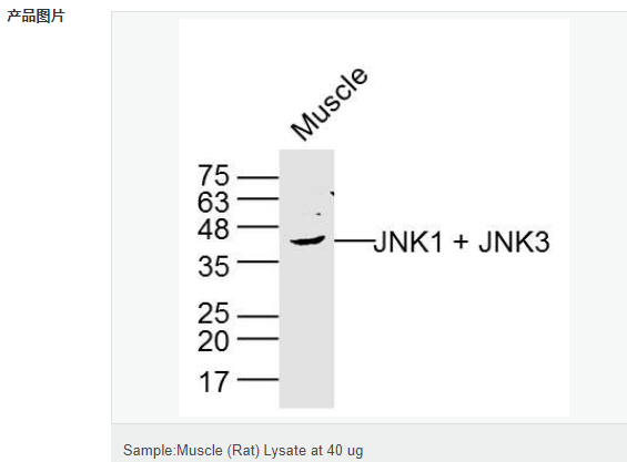 产品细节图片11