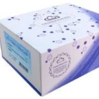 豚鼠白蛋白(ALB)检测试剂盒(酶联免疫吸附试验法)