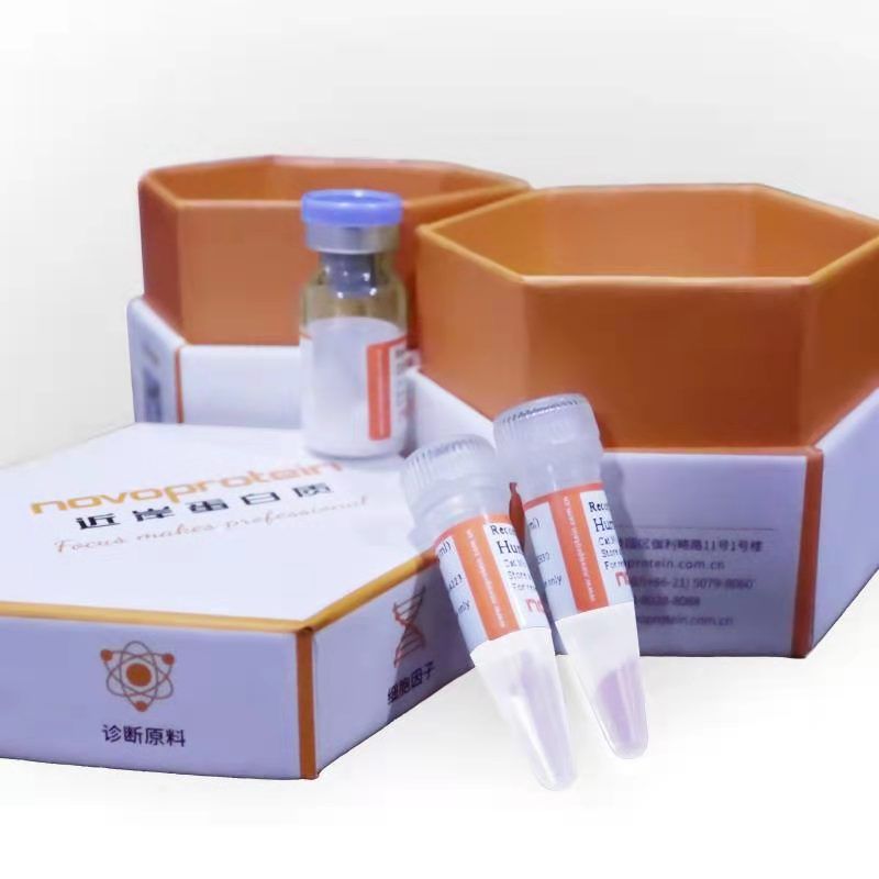 Recombinant Mouse Galectin-9/LGALS9  