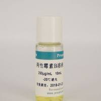 MCEEMCEE蛋白抗体