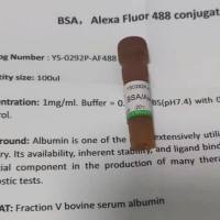 GIGYF1PERQ1蛋白抗体