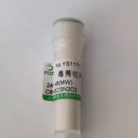 KIRREL1肾病样蛋白1抗体