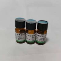 核糖体蛋白S6激酶1多肽