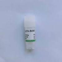 Pellino1Pellino1蛋白抗体