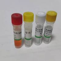 CUTL1CUTL1蛋白抗体